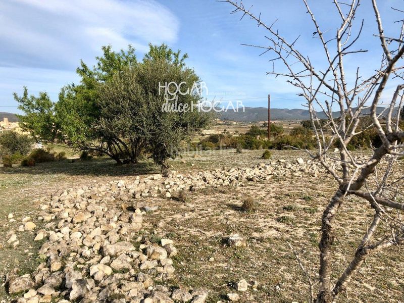 Foto 8305a629-8319-4f38-b877-f43cea5e35c0. Finca rústica a Sant Jaume dels Domenys