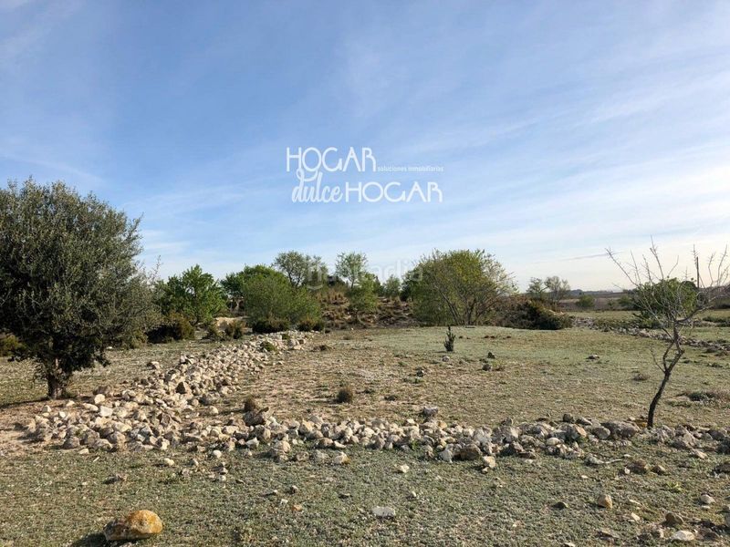 Foto f73d55e7-8704-4de7-a6d5-2a09b718f353. Finca rústica a Sant Jaume dels Domenys