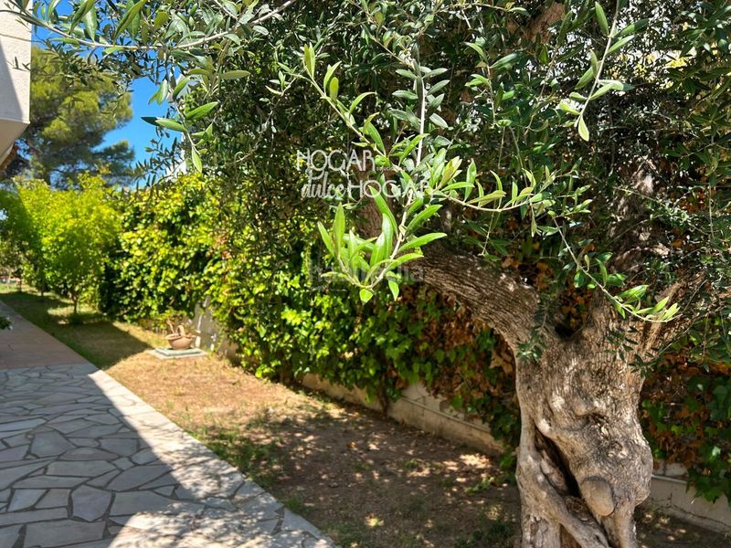 Foto c77d4d28-51a4-4abd-9c2f-e18c20b4744d. Casa amb calefacció aparcament a Mas Mel Calafell