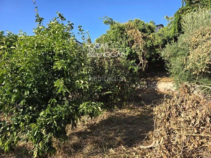 Foto f2206196-5d43-4de9-b2e4-8aa4239d6a1c. Xalet amb piscina a Piera