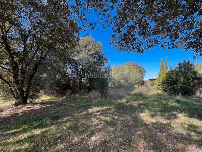 Foto 17620eb0-fa6a-4ba8-bb9e-36cd268b5dfc. Terreny residencial a Sant Julià de Ramis