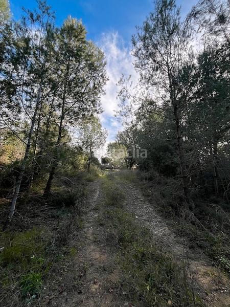 Foto 603f89a3-e0a6-4417-8910-5ca5d04e5e76. Terreny residencial a Sant Julià de Ramis