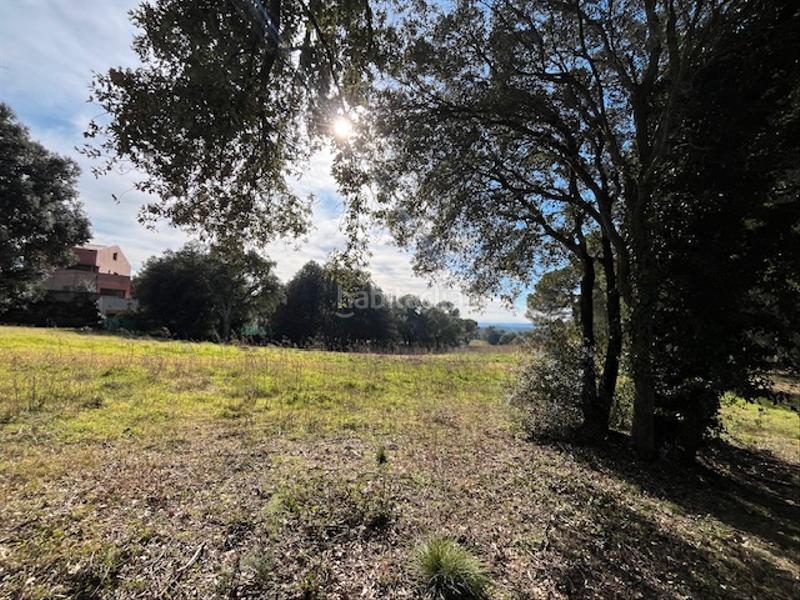 Foto ee1cf8ad-e4f4-46eb-acbd-4be6000d1073. Terreny residencial a Sant Julià de Ramis