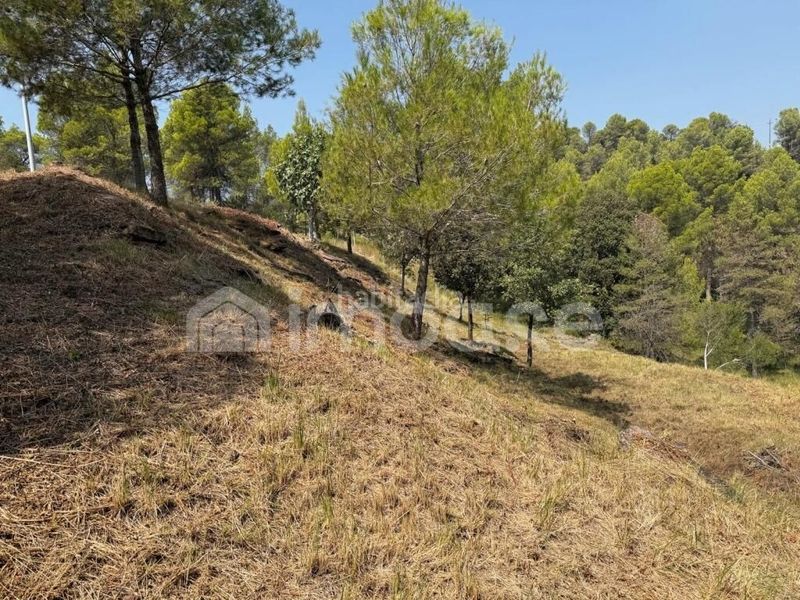 Foto 0f14e304-d59d-42a0-aedd-2eb13eedb0eb. Terreny residencial a Avinyó