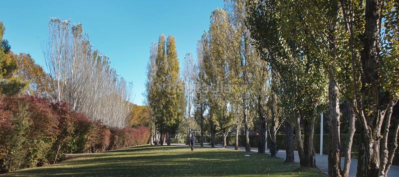 Foto d04cd90e-03fa-4192-86f6-ec93e0d34348. Casa amb calefacció aparcament piscina a Turó de Can Mates Sant Cugat del Vallès
