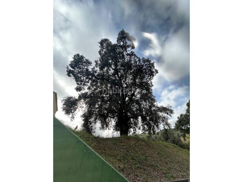 Foto 1ba22a40-a96f-4704-b705-4af7b3123818. Masía finca en venta en Poble Nou Terrassa