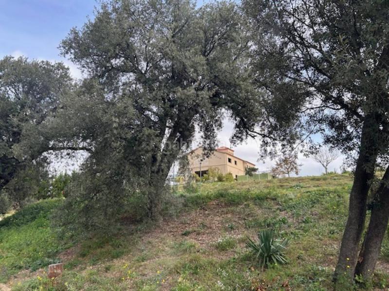 Foto 32ee2794-fc31-483d-9eaf-e7ca98fad671. Masía finca en venta en Poble Nou Terrassa