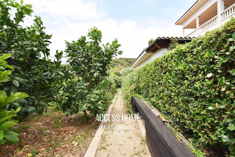 Foto 4e8103fe-ef39-41dc-aa2c-53c6643cb173. Xalet amb aparcament piscina a Alella