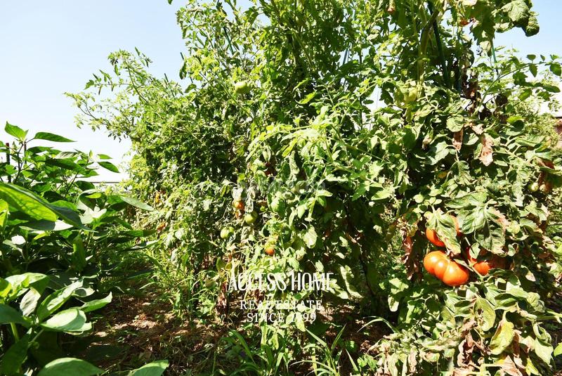 Foto c72e9135-b8ab-4d2b-a595-806fea80351a. Xalet amb aparcament piscina a Alella