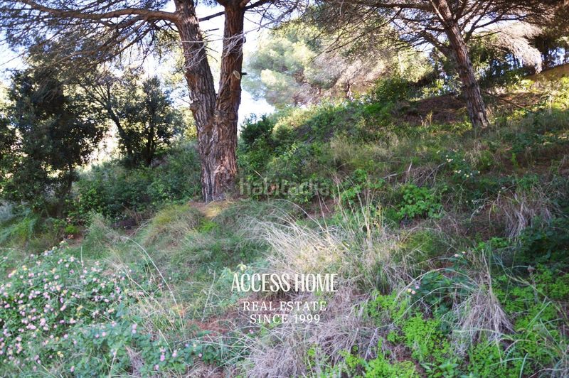 Foto 4d30457e-721b-484c-a128-e4e8e24a7903. Finca rústica a Rocaferrera Sant Andreu de Llavaneres