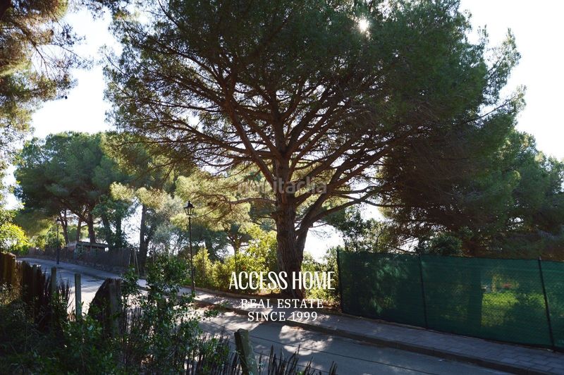 Foto e4ad9da4-dea1-43a4-be2c-4076efe39fa5. Finca rústica a Rocaferrera Sant Andreu de Llavaneres