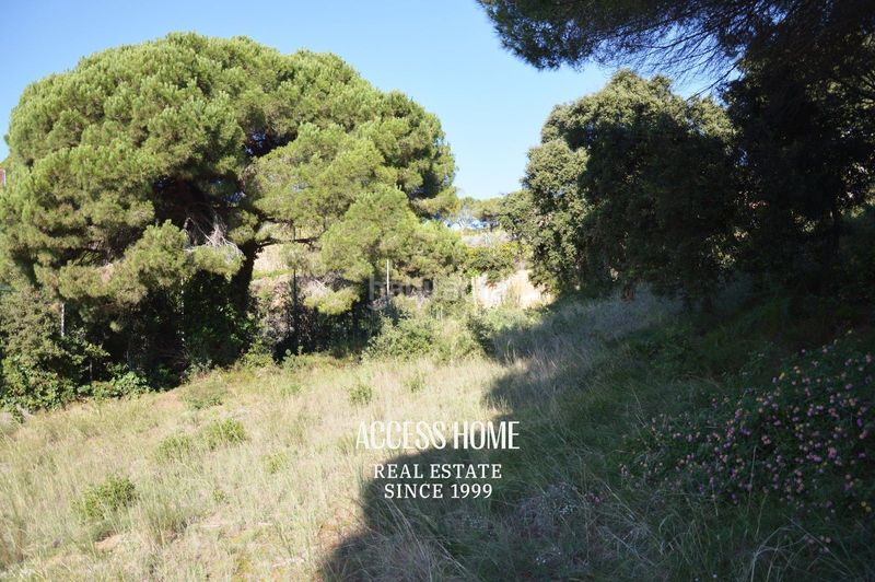 Foto 1b6ba431-78e0-4d01-bf73-ab1debcff55d. Finca rústica a Rocaferrera Sant Andreu de Llavaneres