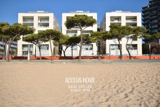 Pis a Centre-Platja. Planta baja de lujo con jard�n en primera l�nea de mar en platja