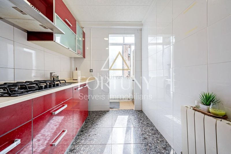 Foto f50ec09d-17d1-43bd-ad32-16f14c0db907. Pis a Centre Reus
