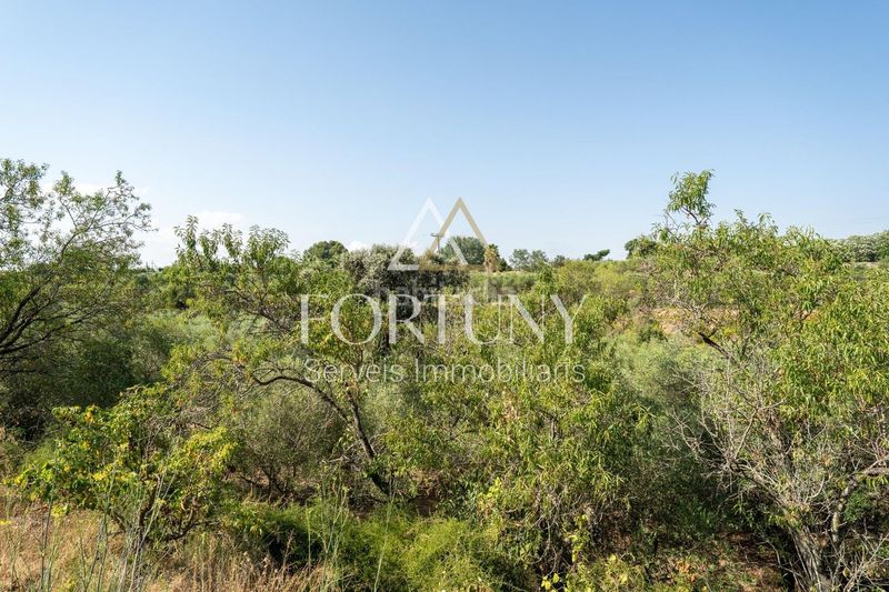 Foto e8baa067-9b18-49f3-97f9-5fbeacbbfc00. House with pool in Riudoms