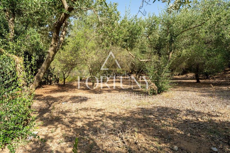 Foto f91e95c0-42b9-4517-b905-02eb6154249e. House with pool in Riudoms