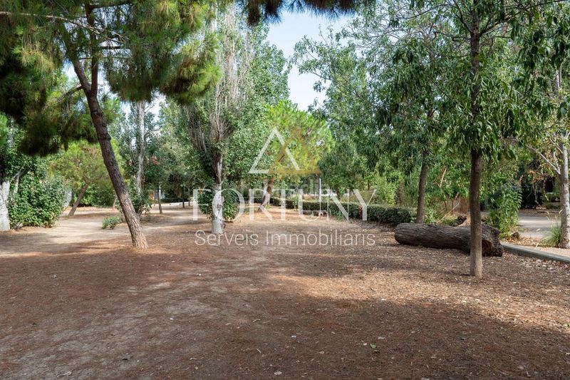 Foto 9534baea-b5a0-485c-96a2-049aa83812b4. Pis a Ponent Reus