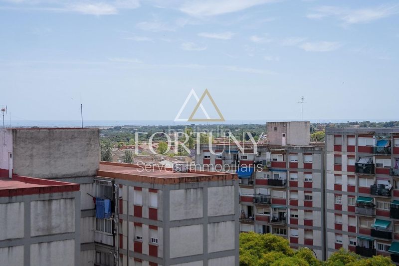 Foto 74972bfe-1925-4bab-a9ea-5ebd59233504. Pis a Migjorn Reus