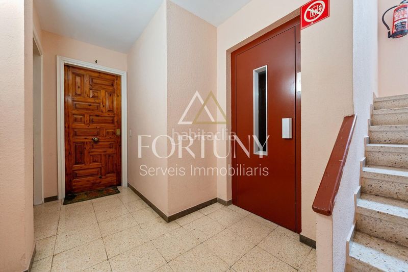 Foto a0a5c8ac-ab7c-46ab-83ee-d52b67f35f60. Pis a Centre Reus