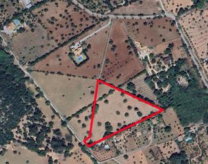 Propriété à Pollença Poble. Oportunidad de inversión parcela de terreno edificable en venta