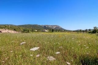 Rural plot in Pollença Poble