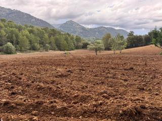 Finca rústica a Selva. Parcela de terreno rústico situado en el munipio de selva en ple