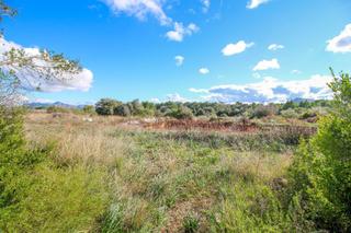 Finca rústica en Pollença Poble