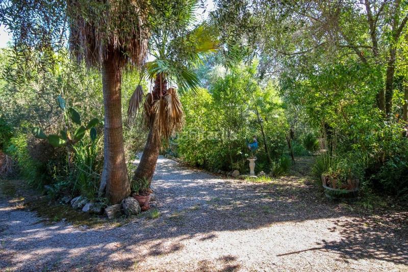 Foto 09e9a7ff-8bb2-4d9a-af84-4d86dfc5e48c. Bauernhof in Pollença poble Pollença