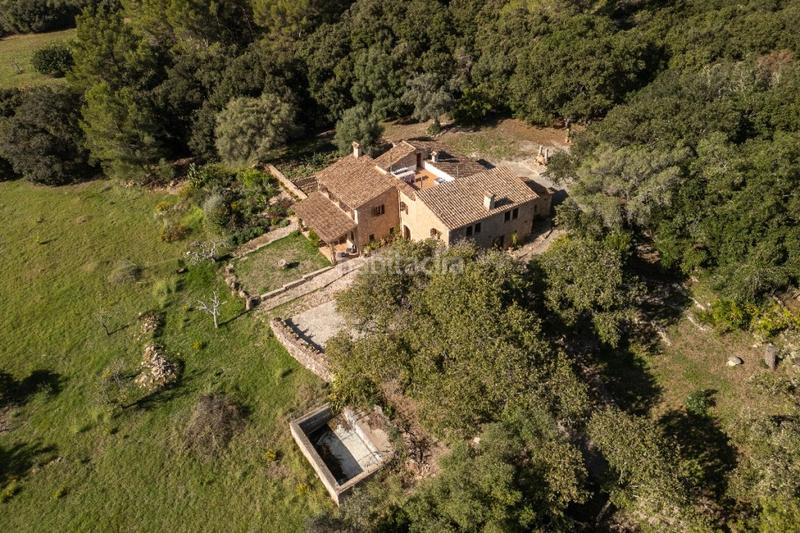 Foto 87431ed4-4b35-463f-8c7e-7999fee57f86. Casale con riscaldamento parcheggio in Pollença poble Pollença