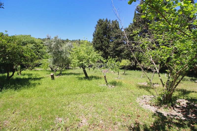 Foto f854e133-fac8-4ea9-8cf7-ef3b78192088. Casale in Pollença poble Pollença