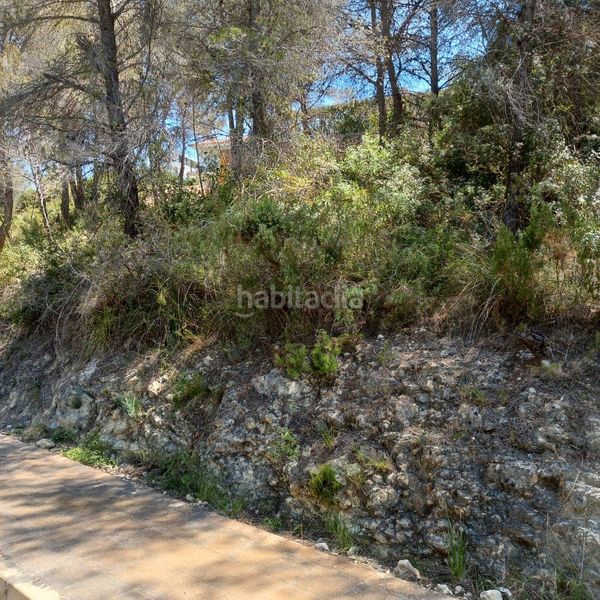Foto 7047ea9b-ebaa-41b0-9164-5a8d3e0c3d40. Wohngrundstück in carrer de la masia 40 in Mas Alba Sant Pere de Ribes