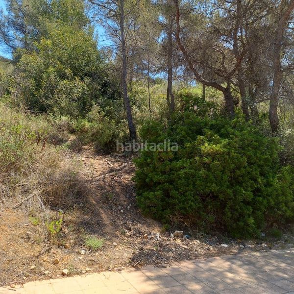 Foto b9350b11-f1d6-4a4d-a191-318e0edc6a01. Wohngrundstück in carrer de la masia 40 in Mas Alba Sant Pere de Ribes