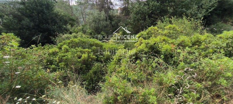 Foto 5aafbf95-ce9e-481f-8f4e-87bd9e05c1bb. Terreny residencial a Montmell (El)