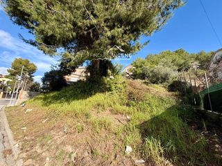 Finca rústica en Torre Dels Escipions