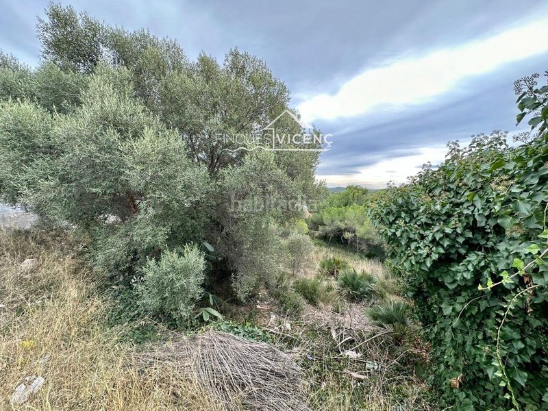Foto c7b57d05-9505-494b-b86b-25c6214d91bd. Finca rústica a Nou Vendrell Vendrell (El)