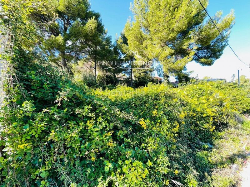 Foto 5164f25d-ab68-4c2f-bd85-811c6426ed75. Finca rústica a Bellvei