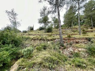 Finca rústica a Segovia-Priorat