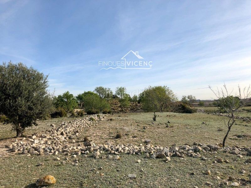 Foto 038d5c89-7b35-4c55-8ba0-9411c65dfab9. Finca rústica a Sant Jaume dels Domenys