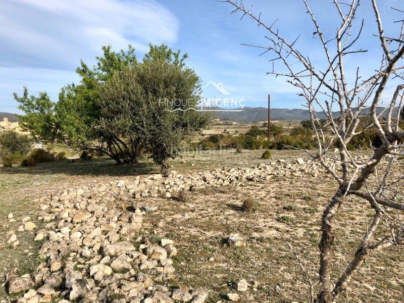 Foto 0b99d675-d56e-47e3-9f35-3fe0ed4fba66. Finca rústica a Sant Jaume dels Domenys