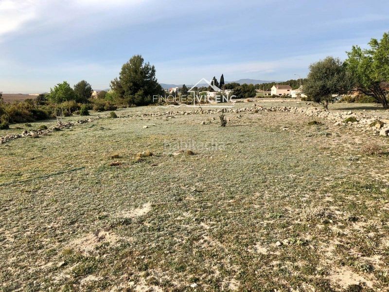 Foto 5f246f0c-fc36-492c-9e81-284271ed2024. Finca rústica a Sant Jaume dels Domenys