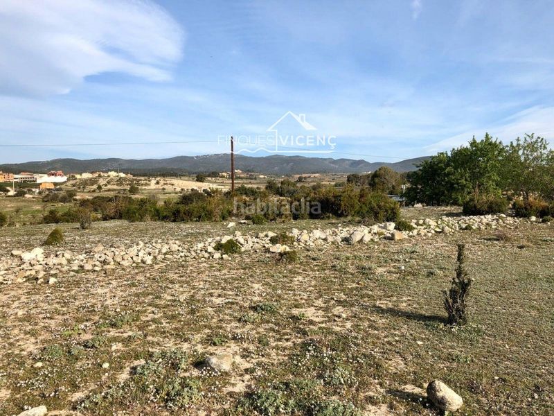 Foto 9bd12c27-23b3-47e4-8c59-3fc6a42bf09f. Finca rústica a Sant Jaume dels Domenys