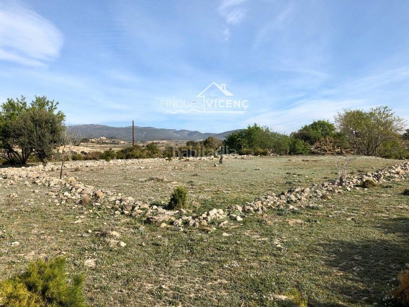 Foto bf95aaa7-b824-4cf1-867e-ae76533fc3ea. Finca rústica a Sant Jaume dels Domenys
