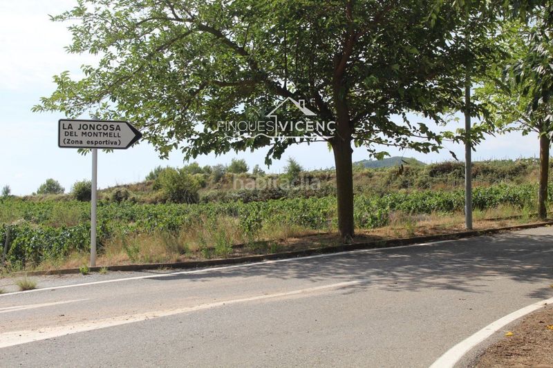 Foto cb06d58a-720c-4b88-99c9-35d3dc3c8346. Finca rústica a Montmell (El)