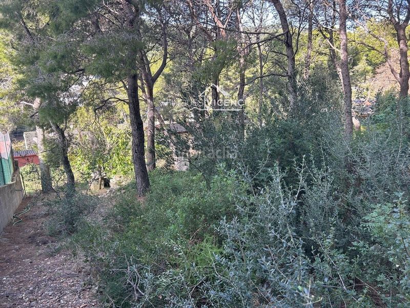 Foto 6641f4aa-7c3a-4e59-ae2f-107cb6f80b65. Finca rústica a Segur de Calafell nucli urbà Segur de Calafell