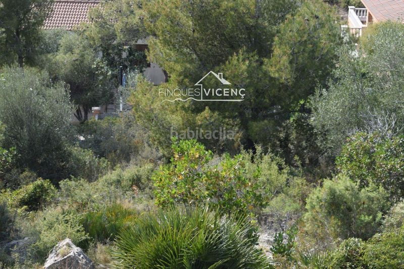 Foto a98d6690-f918-4dc1-9547-e86d5d701eb0. Finca rústica a Segur de dalt Segur de Calafell