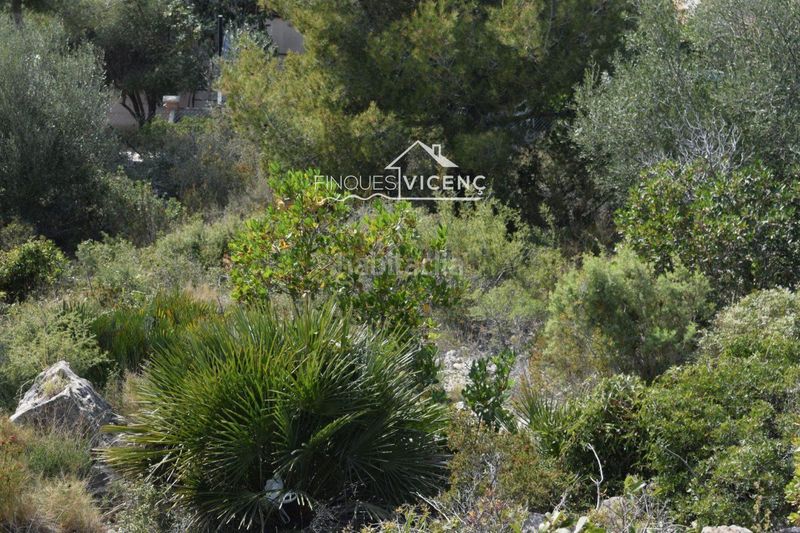 Foto acbd1dad-96b3-4d6c-8ef5-baafaadc7f0d. Finca rústica a Segur de dalt Segur de Calafell