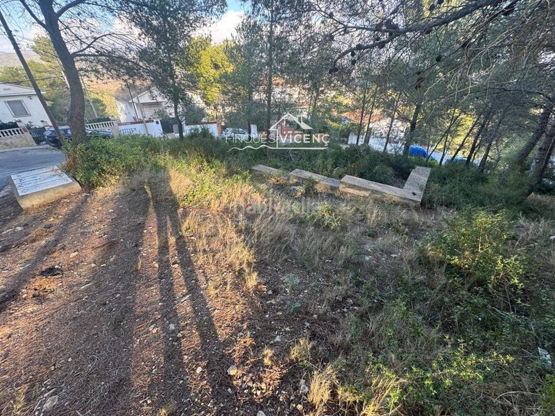 Foto d9de9d03-5b43-4f41-ade7-eed595b0b769. Finca rústica a Bisbal del Penedès (La)