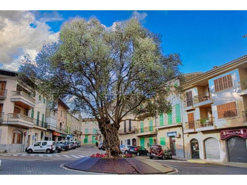 Foto f2ff5670-49ce-470e-991a-73e00fa829a4. Finca rústica a santa catalina tomás 17 a Santa Margalida poble Santa Margalida