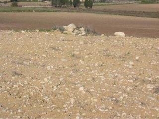 Rural plot in 7 110. Finca rustica en venta en santa margalida