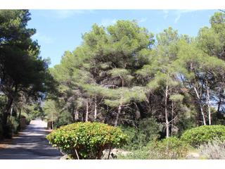 Residential Plot  De les cales. Terreno en venta en canyamel